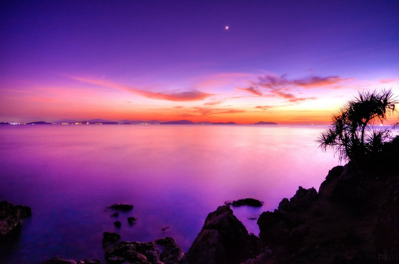 Ocean Sunset 桌布 壁紙 — 黃昏時分的長時間曝光海景，充滿活力的紫色和橙色天空映照在平靜的水面上，旁邊是黑暗的剪影岩石和一棵孤獨的棕櫚樹。