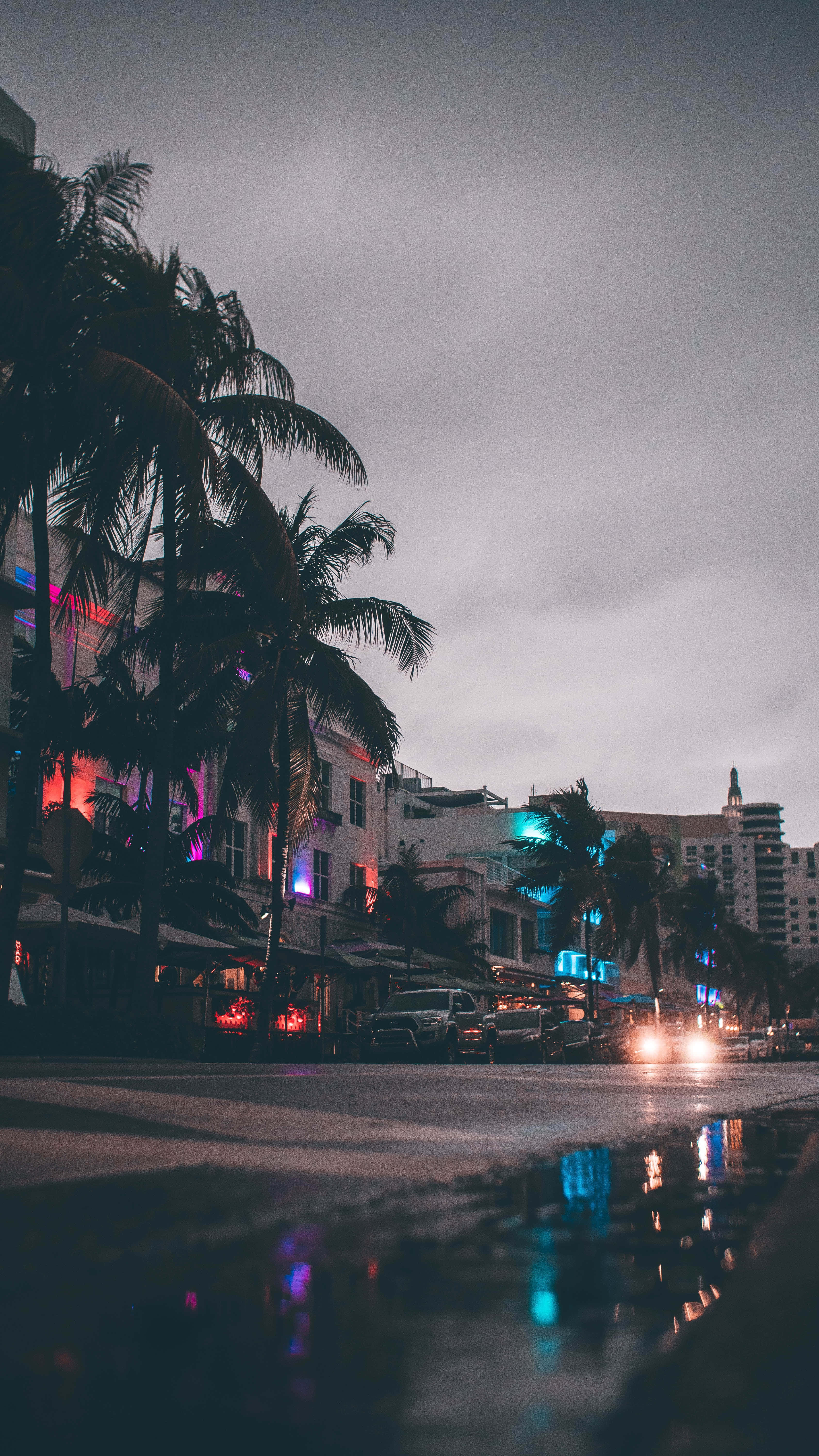 Miami 4K 桌布 壁紙 — 黃昏時分雨濕的城市街道，棕櫚樹在水窪中反射霓虹燈光。