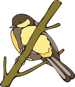 黃胸鳥插畫 壁紙