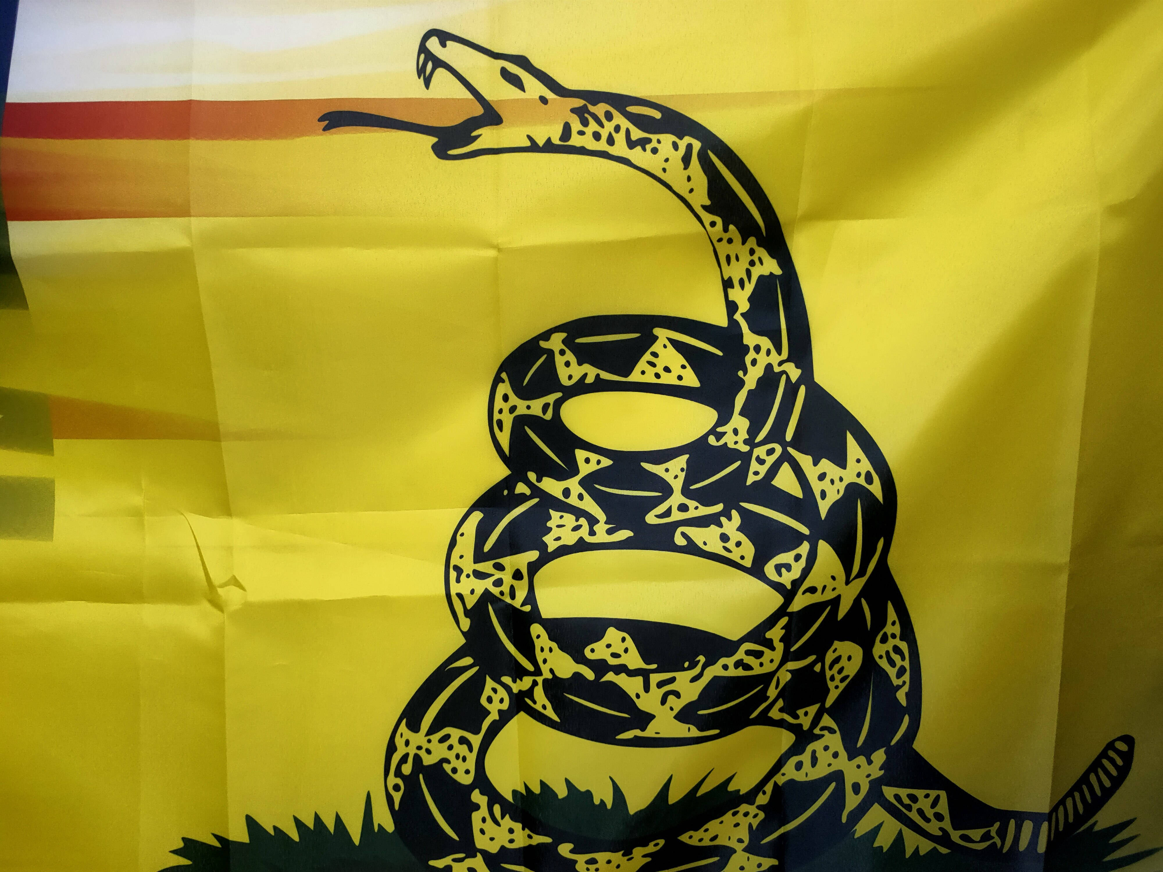 Flag 桌布 壁紙 — 黃色旗幟的特寫，上面有一條黑色盤蛇，抬起頭和毒牙，背景為條紋。