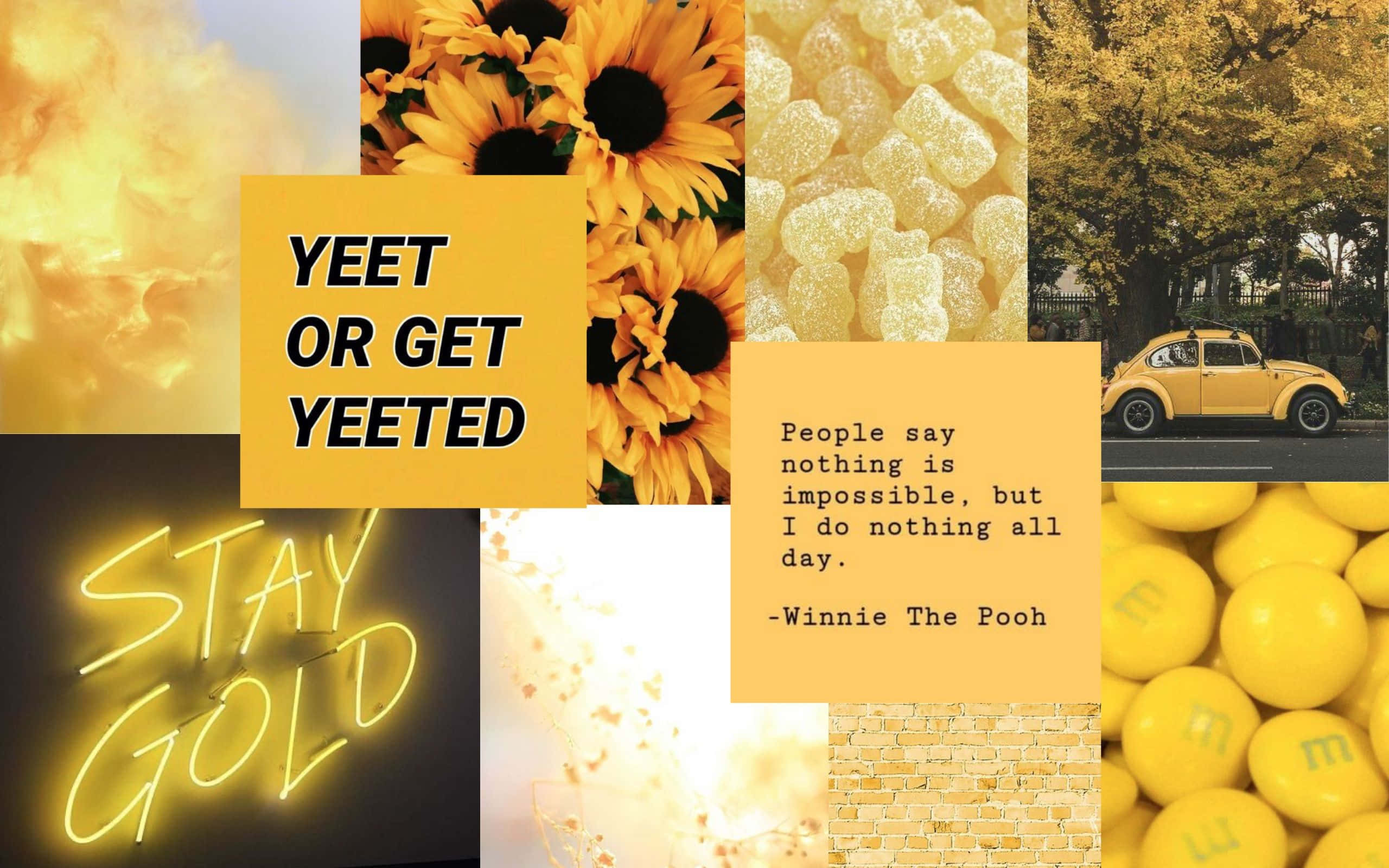 黃色花朵與向日葵的拼貼，帶有文字「yeet or get yeeted」 壁紙