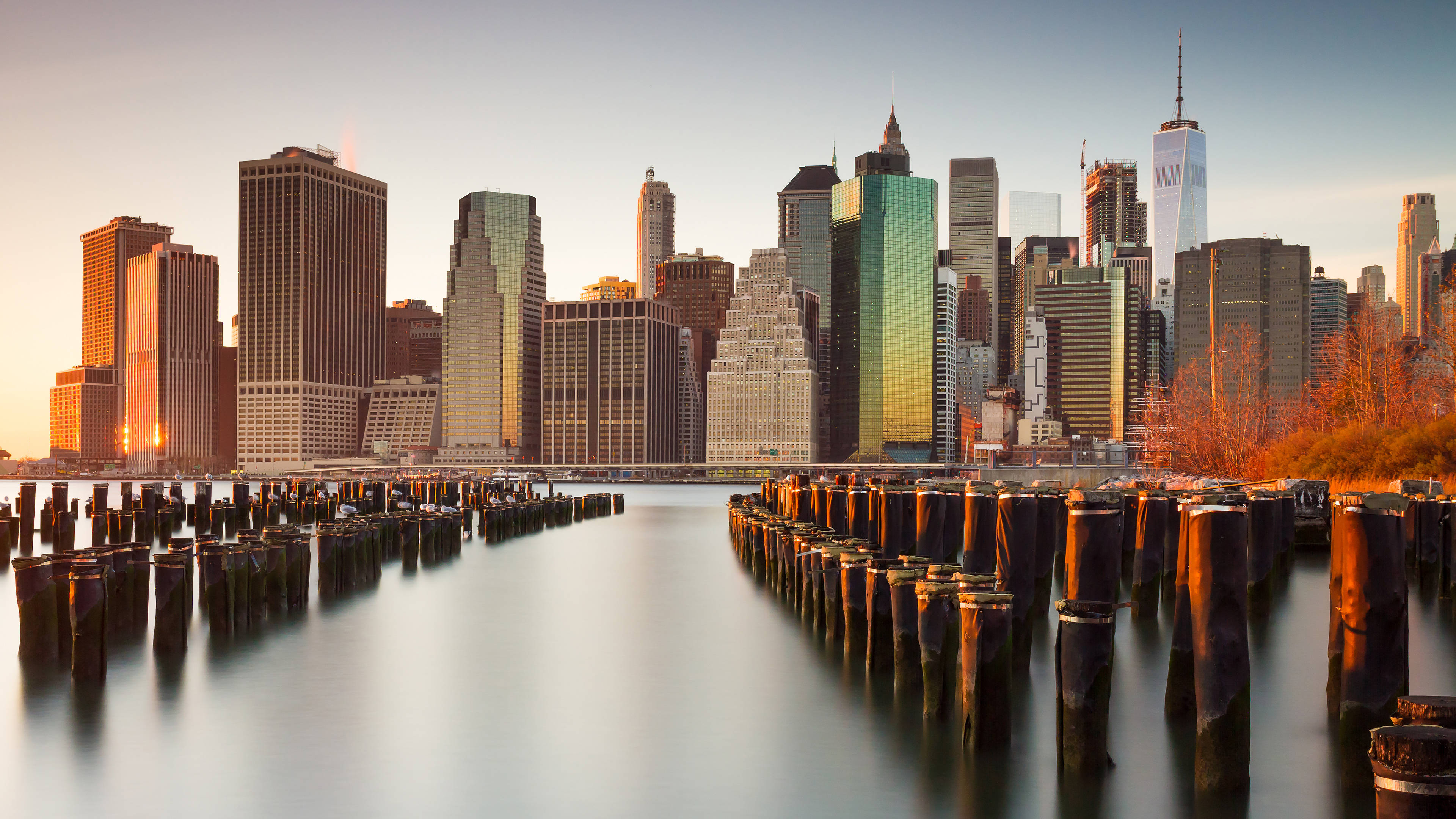 New York 桌布 壁紙 — 黃金時段的陽光以溫暖色調沐浴紐約市天際線，平靜的水面映照出摩天大樓和前景中風化的樁柱。