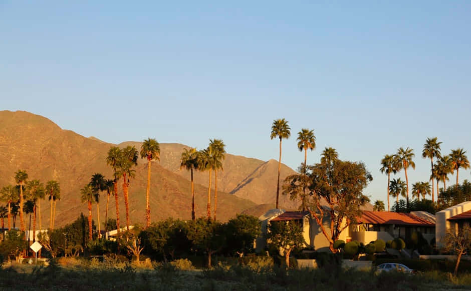 Southern California 桌布 壁紙 — 黃金時段的陽光灑在棕櫚樹和沙漠房屋上，背景是崎嶇的山脈和清澈的藍天。
