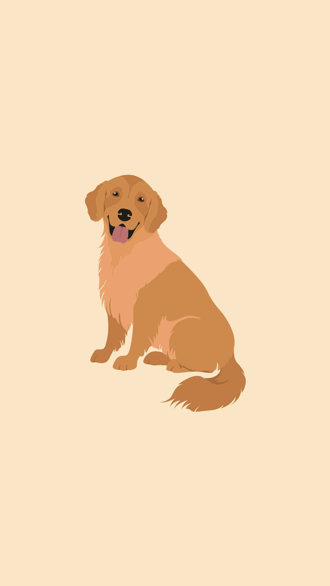 黃金獵犬桌布 壁紙