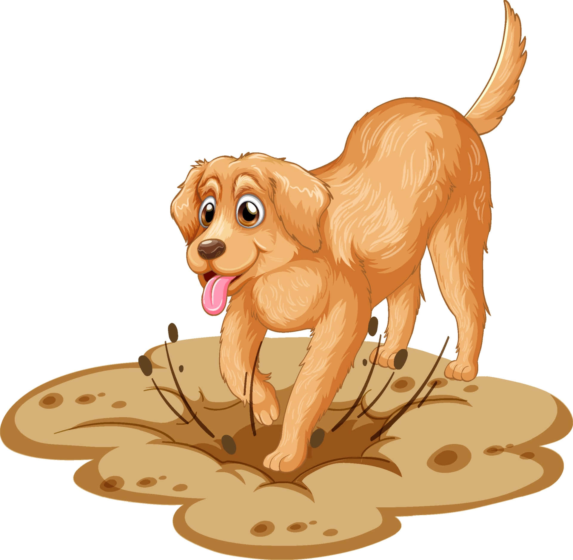 黃金獵犬桌布 壁紙