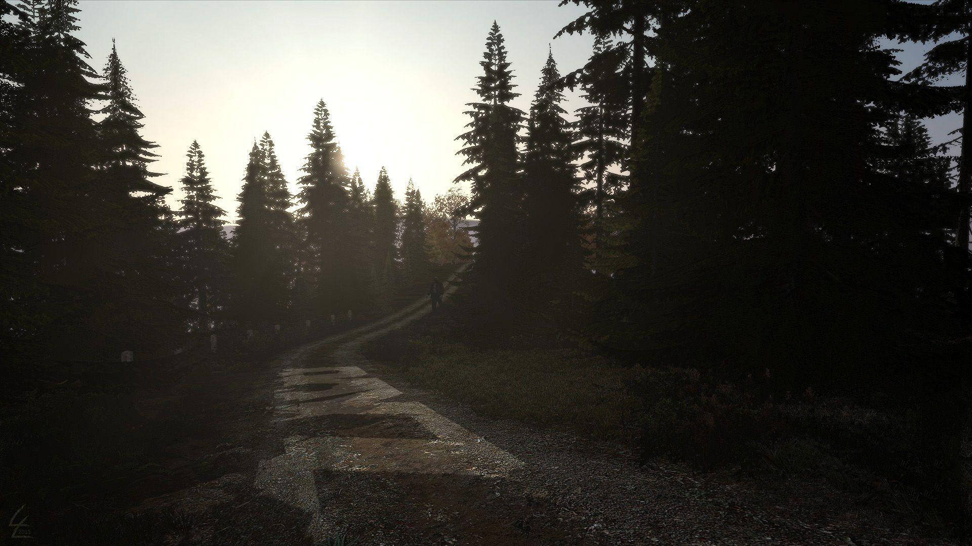 Dayz Desktop 桌布 壁紙 — 黎明時分，一位孤獨的徒步者行走在蜿蜒的林間小徑上，陽光穿過高大的松樹，投下長長的影子。