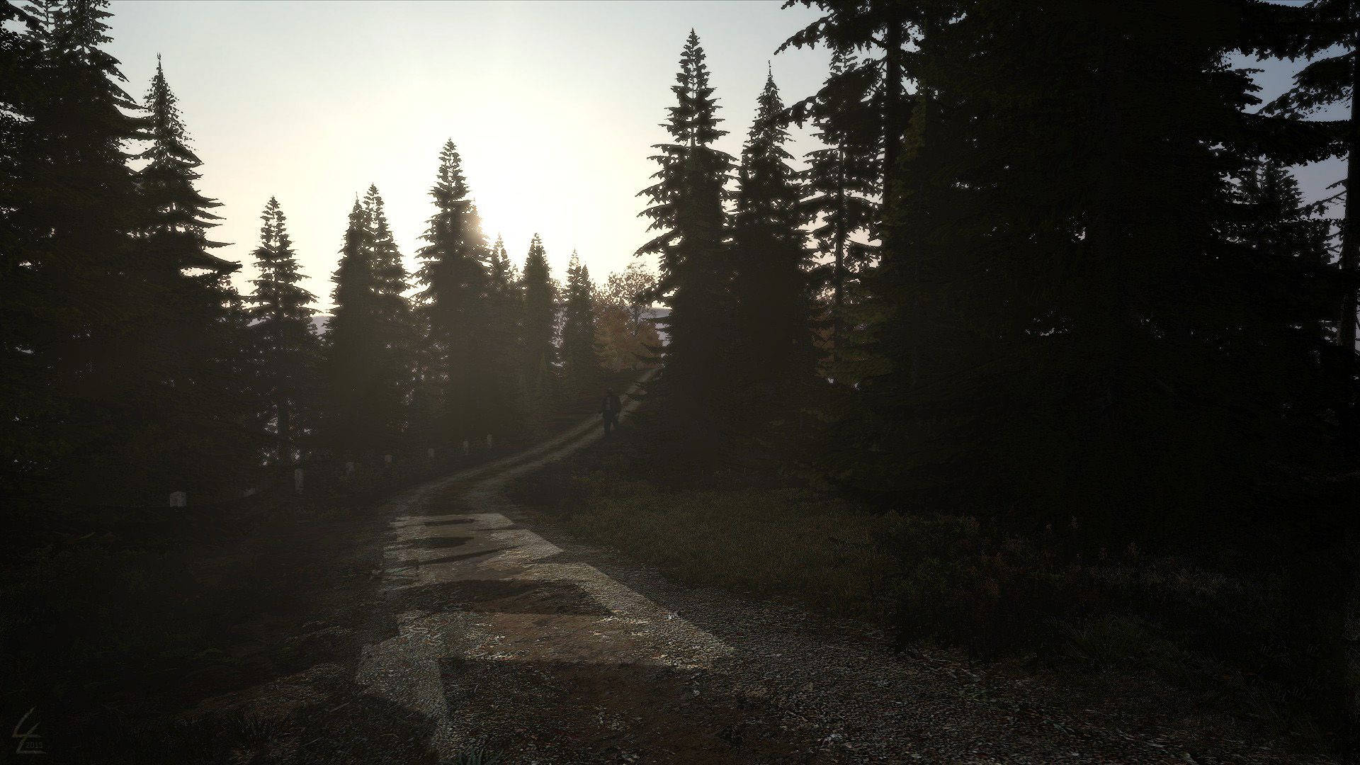 DayZ 桌布 壁紙 — 黎明時分，一位孤獨的遠足者穿過茂密的松樹林，走在石徑上，陽光穿過樹木灑落。
