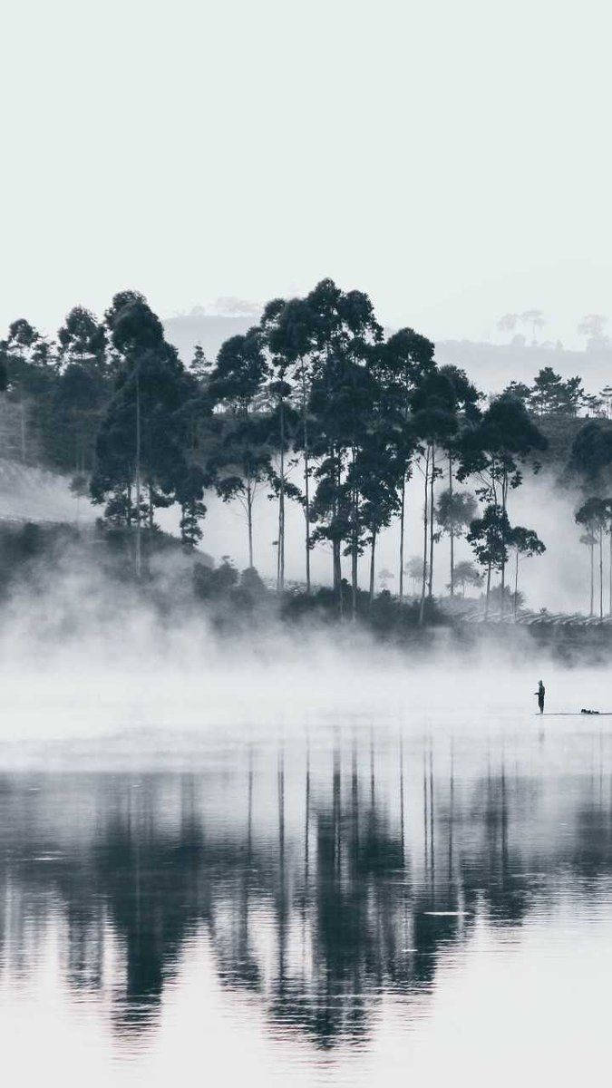 Lake 桌布 壁紙 — 黎明時分，一個孤獨的身影站在霧氣瀰漫的湖面上，高大的樹木倒映在蒼白天色下的平靜水面上。