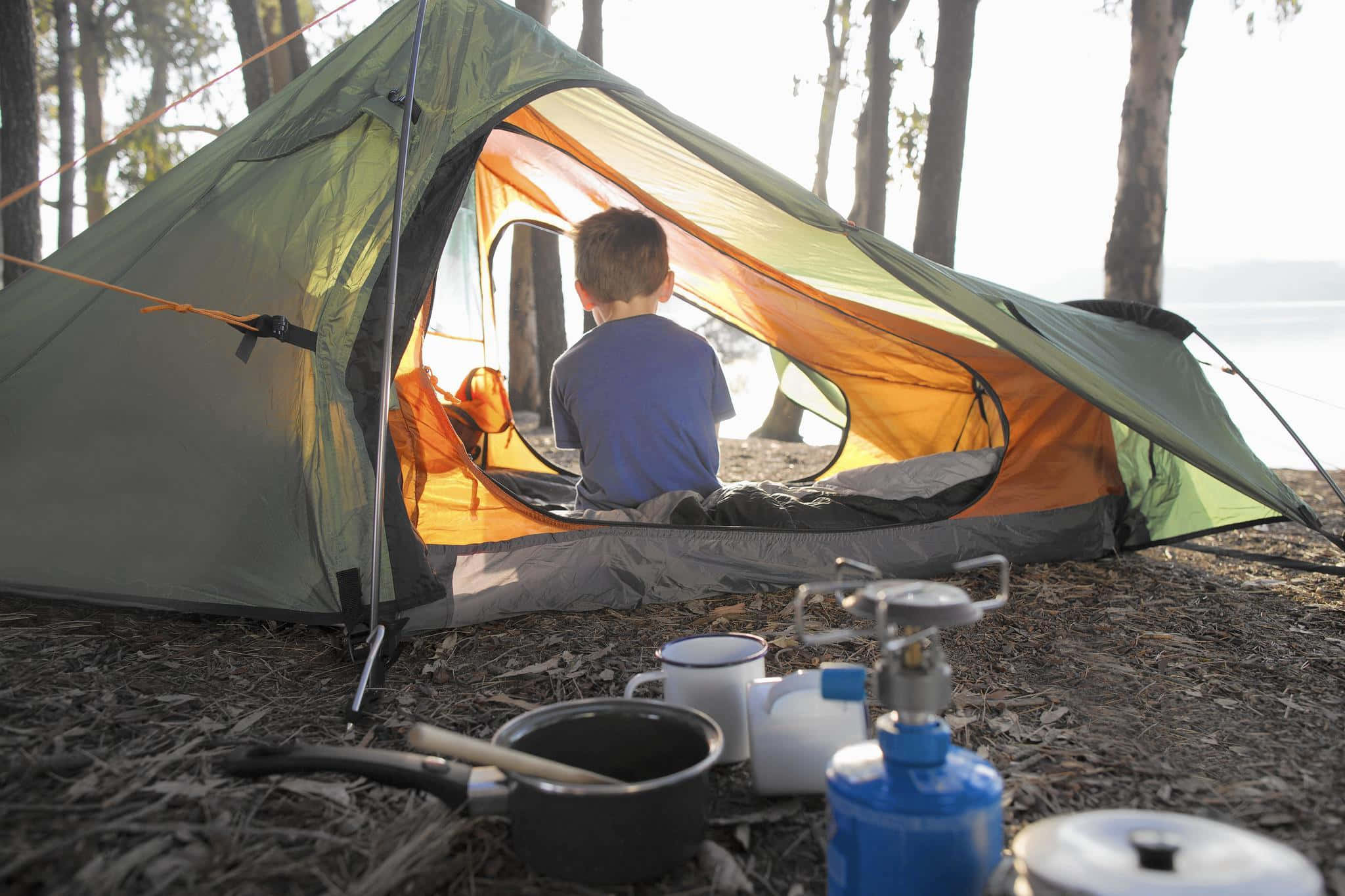 Camping 桌布 壁紙 — 黎明時分，一個小男孩坐在綠色和橙色的帳篷內，眺望著一個樹木繁茂的湖邊露營地，附近有露營裝備。