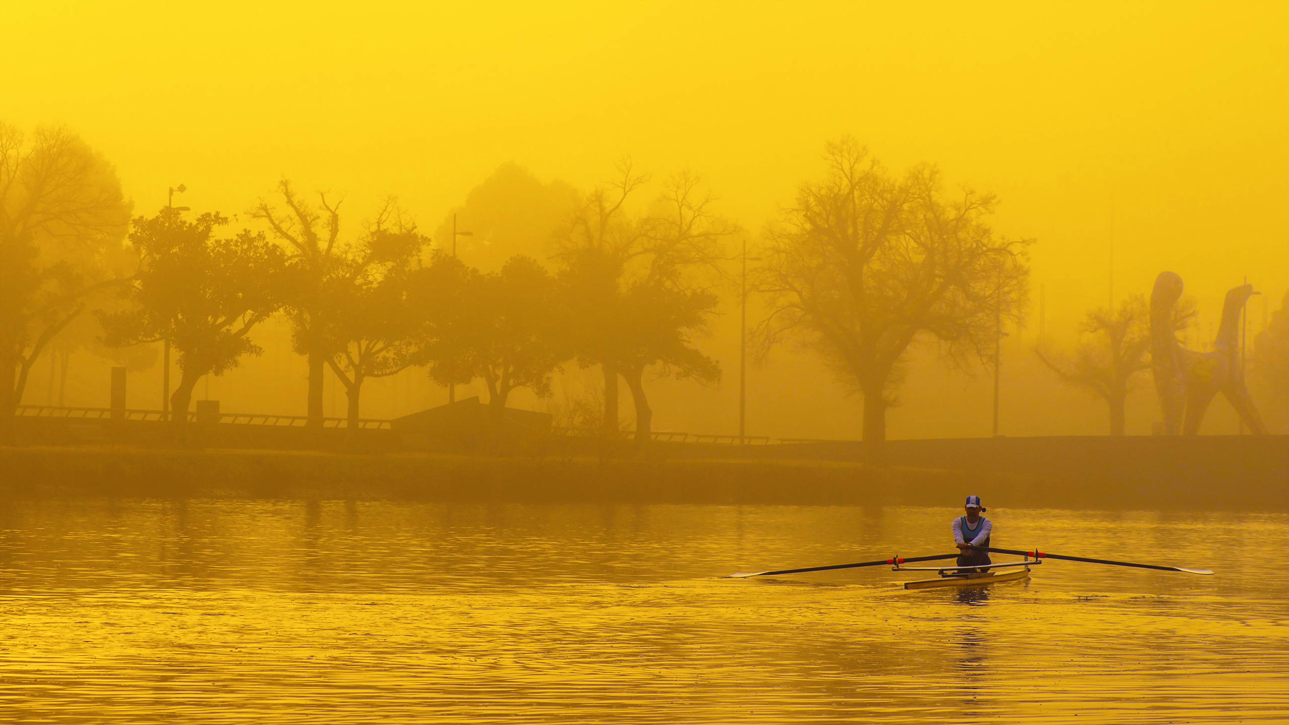 Rowing 桌布 壁紙 — 黎明時分，一名孤獨的划艇者在霧氣瀰漫的金色湖面上滑行，光禿的樹木和恐龍雕像在朦朧的背景中形成剪影。