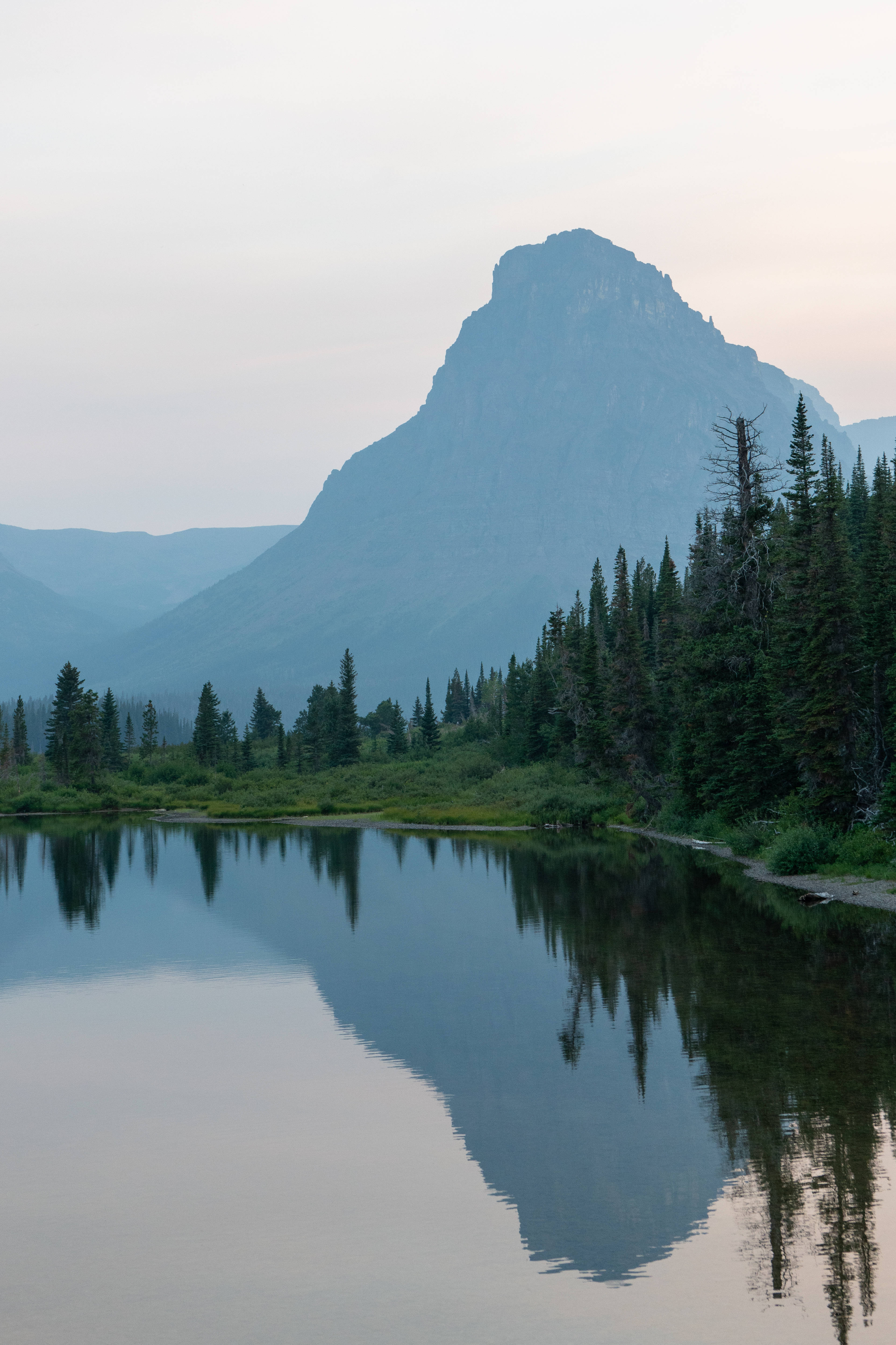 Montana 桌布 壁紙 — 黎明時分，一座寧靜的山峰完美地倒映在平靜的湖面上，四周環繞著茂密的常青樹。