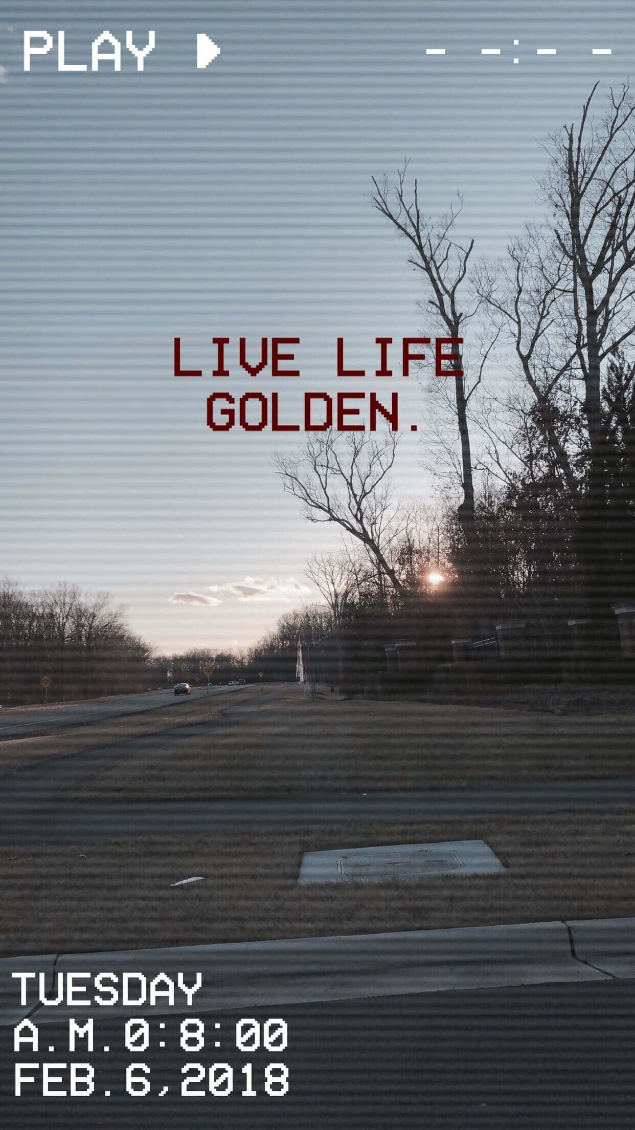 Life Aesthetic 桌布 壁紙 — 黎明時分，一條帶有復古電子遊戲風格的公路場景，有光禿禿的樹木和文字疊加顯示 live life golden。