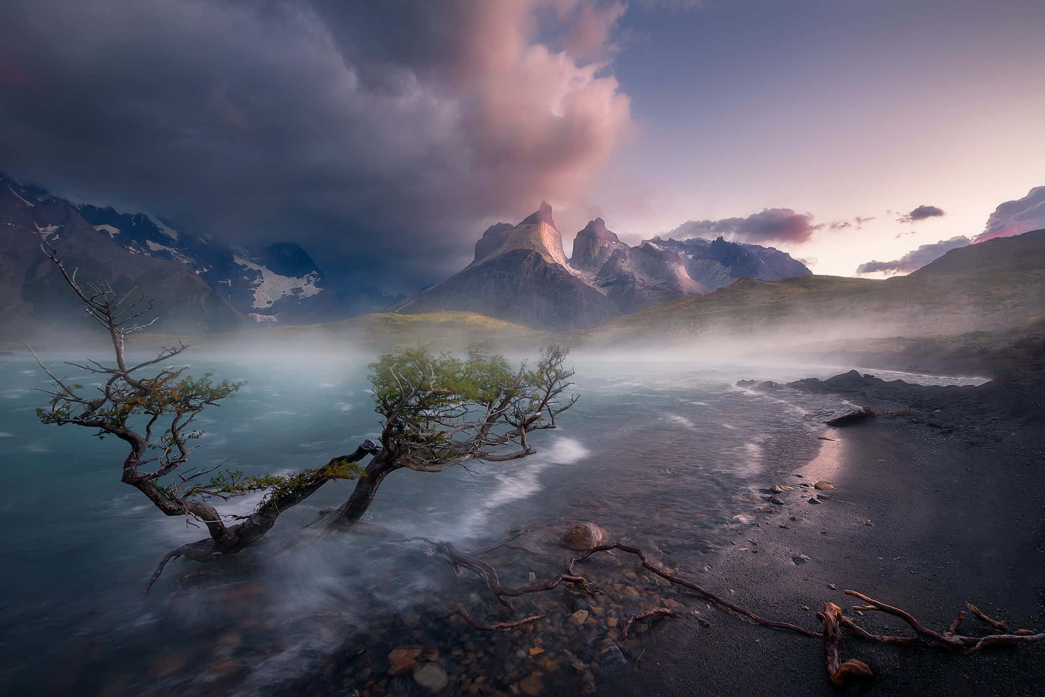 Patagonia 桌布 壁紙 — 黎明時分，一棵孤獨的彎曲樹木矗立在霧氣瀰漫的碧綠水中，背後是白雪覆蓋的山脈，在戲劇性的紫色和粉紅色天空下升起。