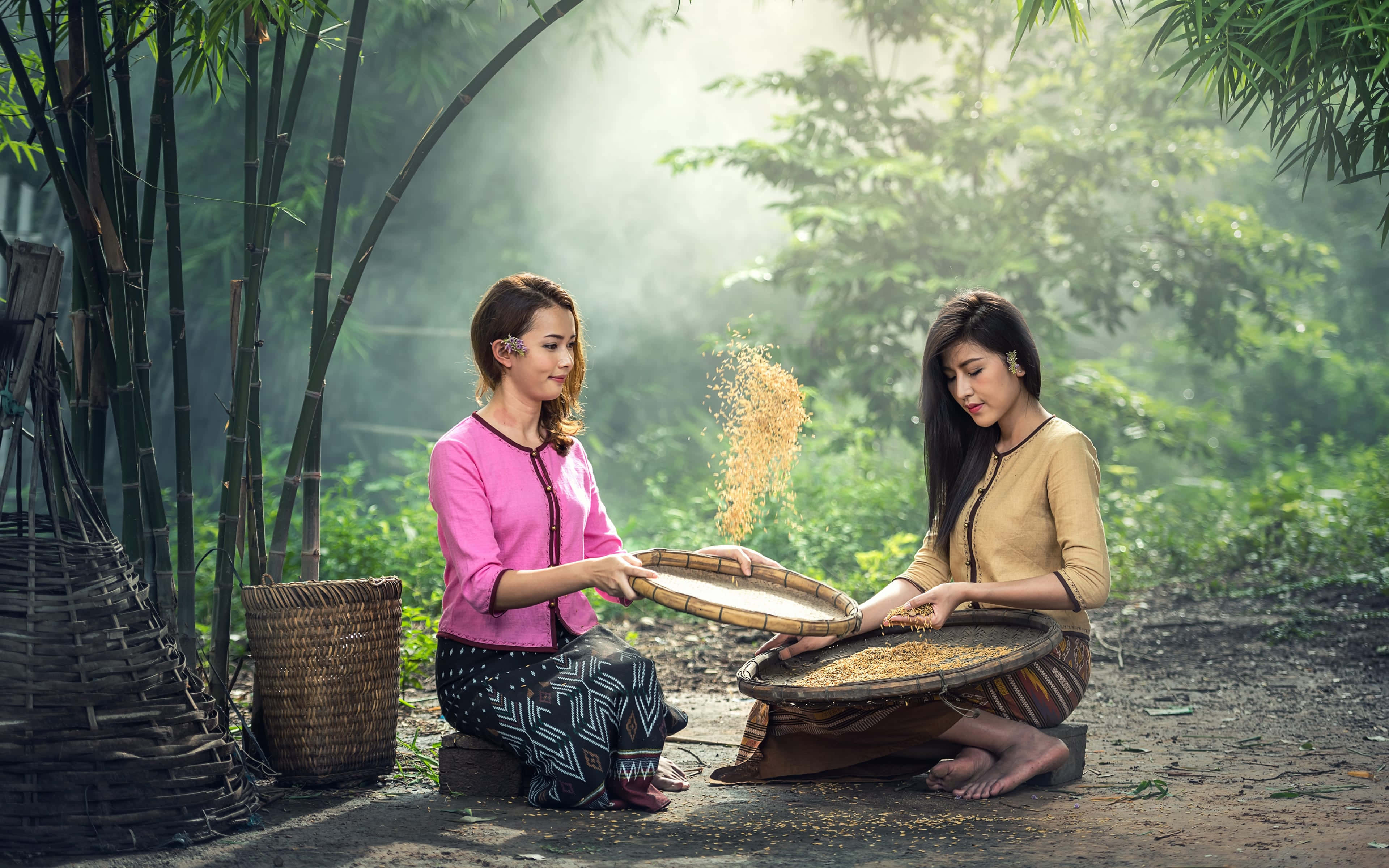 女孩 桌布 壁紙 — 黎明時分，兩位身穿傳統服飾的女性在霧氣瀰漫的竹林空地中篩選金黃色的稻穀。
