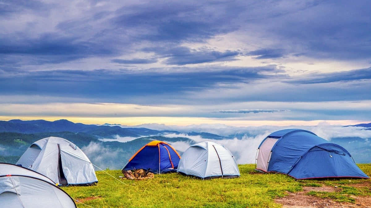 Camping 桌布 壁紙 — 黎明時分，幾頂色彩繽紛的帳篷搭建在草叢生的山脊上，俯瞰雲海。