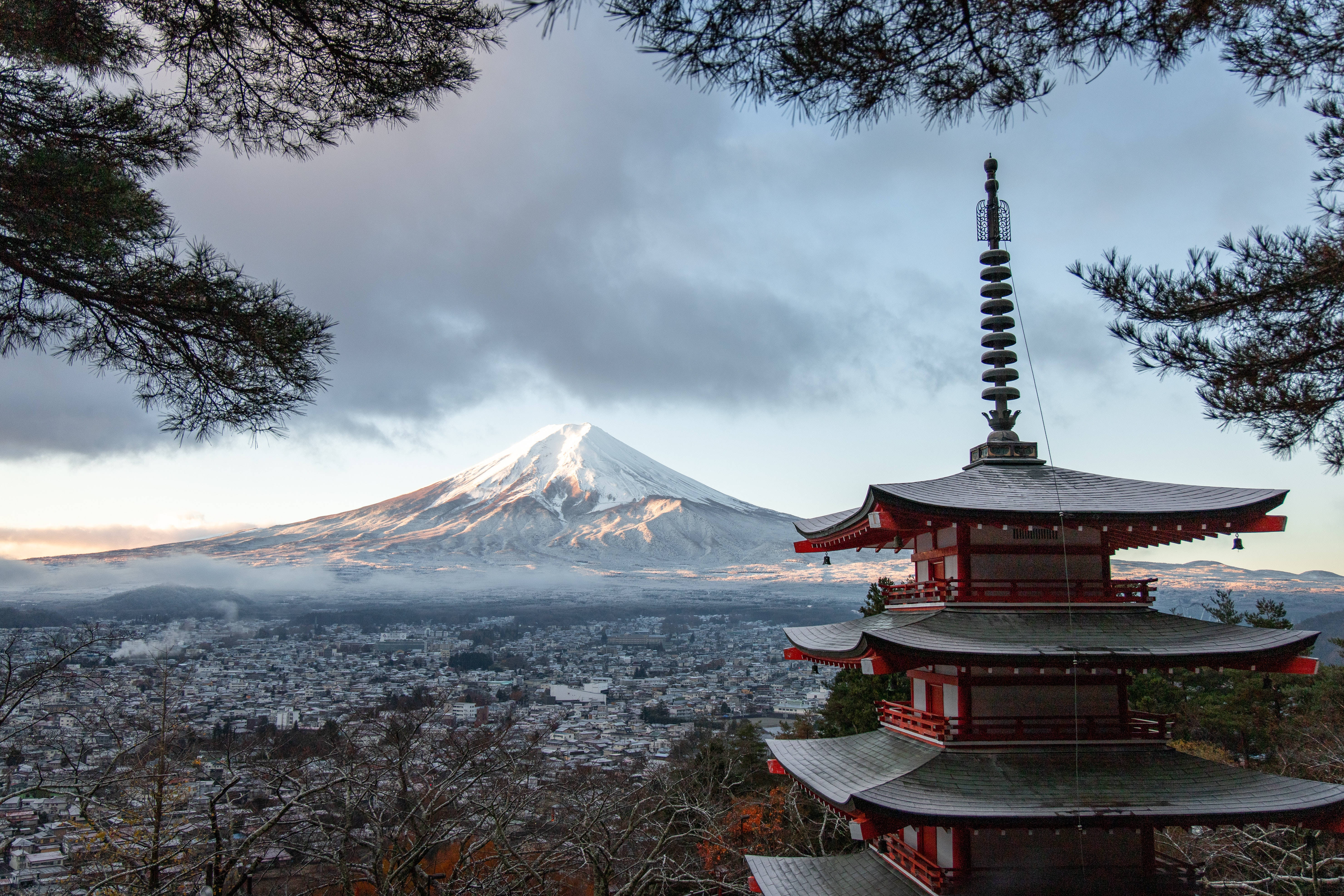 富士山 桌布 壁紙 — 黎明時分，松枝環繞的紅色寶塔後面，白雪覆蓋的富士山聳立。