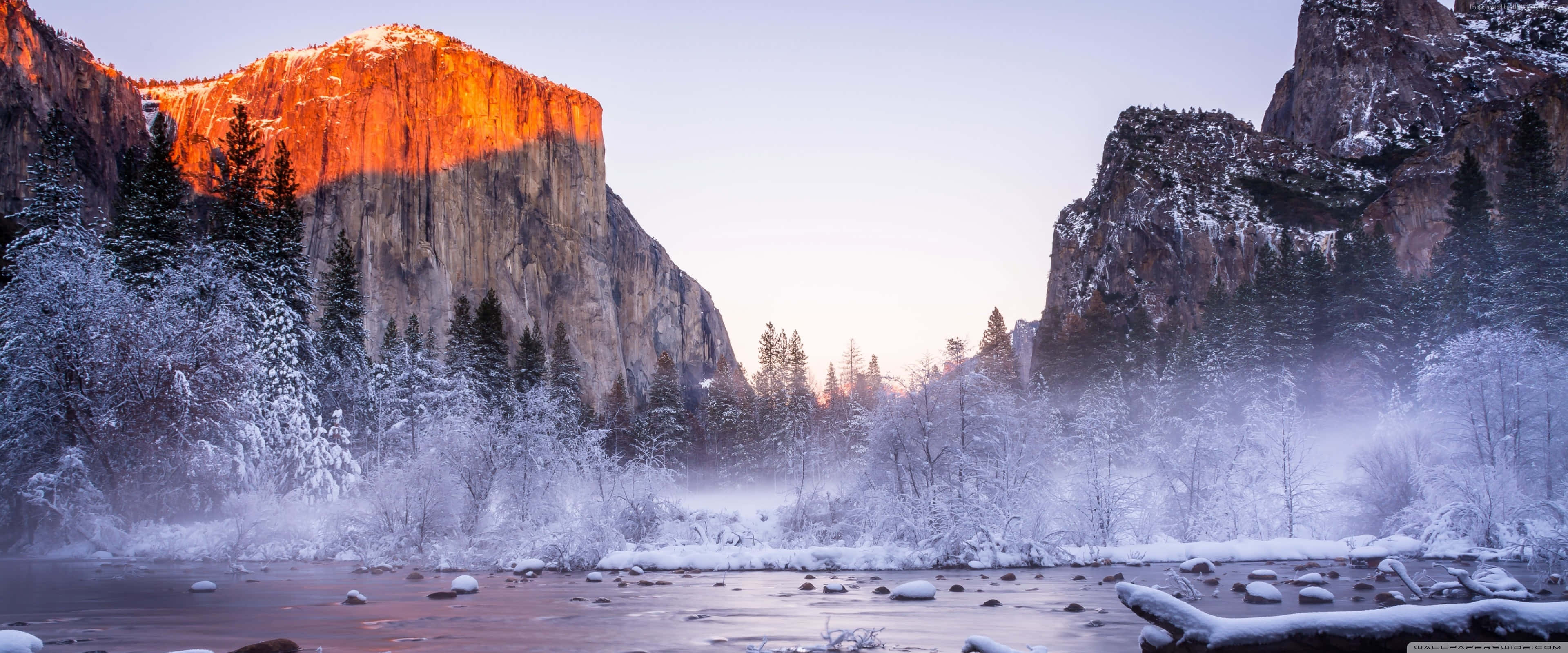 Apple 3840x1600 桌布 壁紙 — 黎明時分，白雪覆蓋的山谷，河流蜿蜒穿過霧氣繚繞的樹林，高聳的懸崖沐浴在金色的日出光芒中。