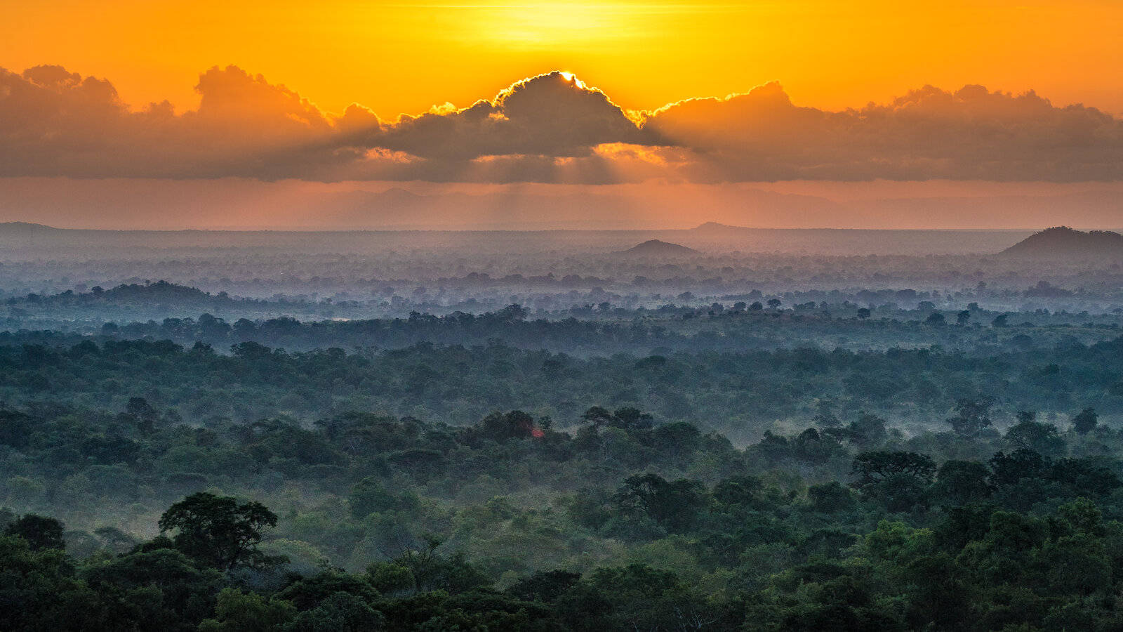 Malawi 桌布 壁紙 — 黎明時分，金色陽光穿透雲層，照耀在霧氣瀰漫的叢林山谷之上。