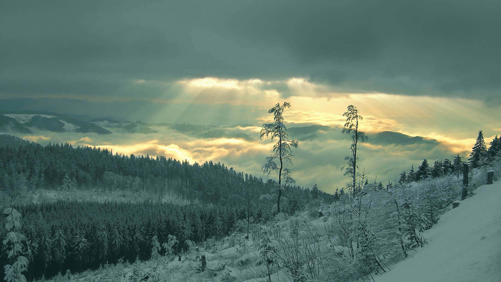 Best Winter 桌布 壁紙 — 黎明時分，陽光穿過暴風雲，照亮了白雪覆蓋的森林和山脈。