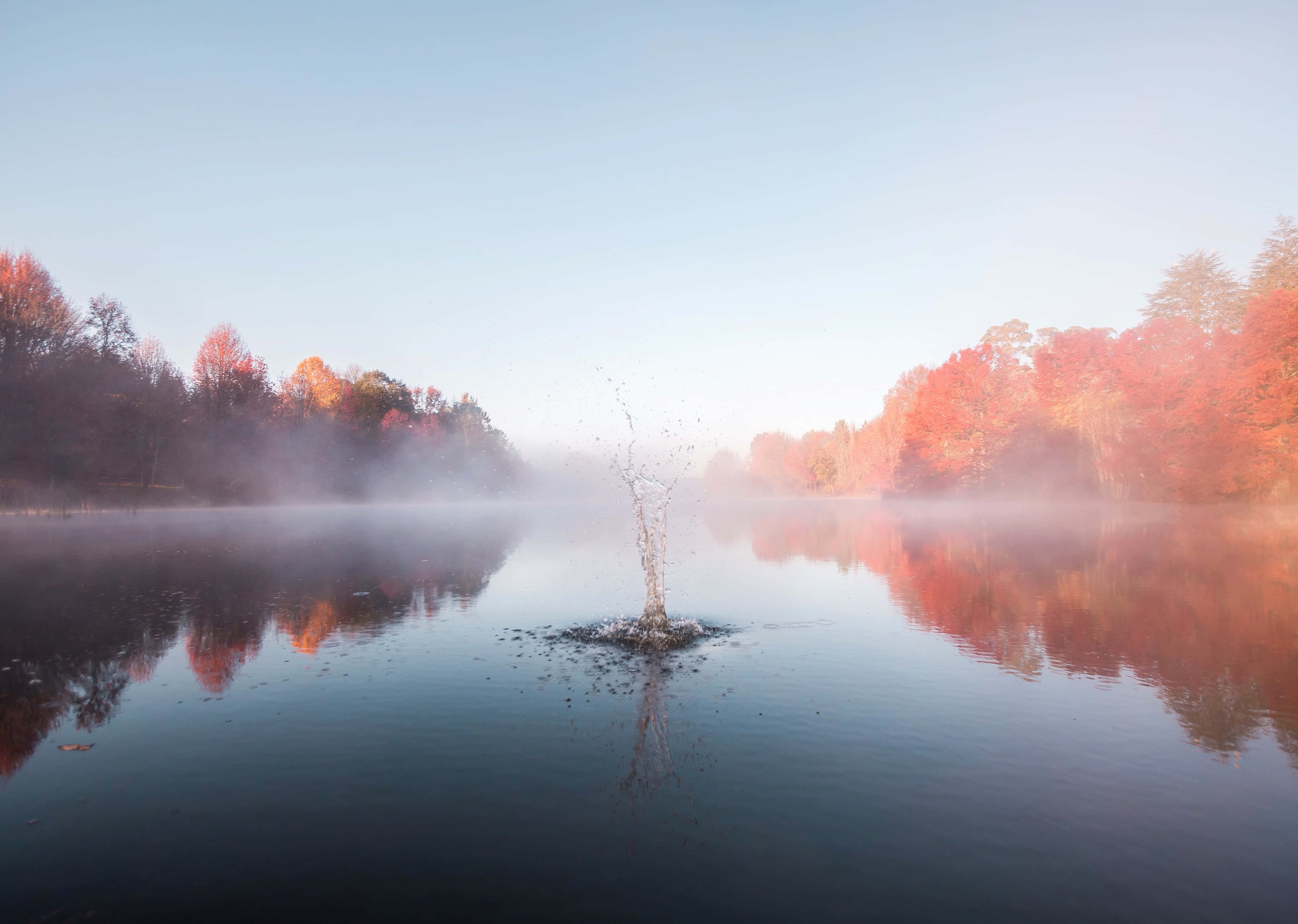 Fall Fog 桌布 壁紙 — 黎明時分，霧氣瀰漫的秋日湖泊，鮮紅的樹木倒映在平靜的水面上，中央濺起一道水花。