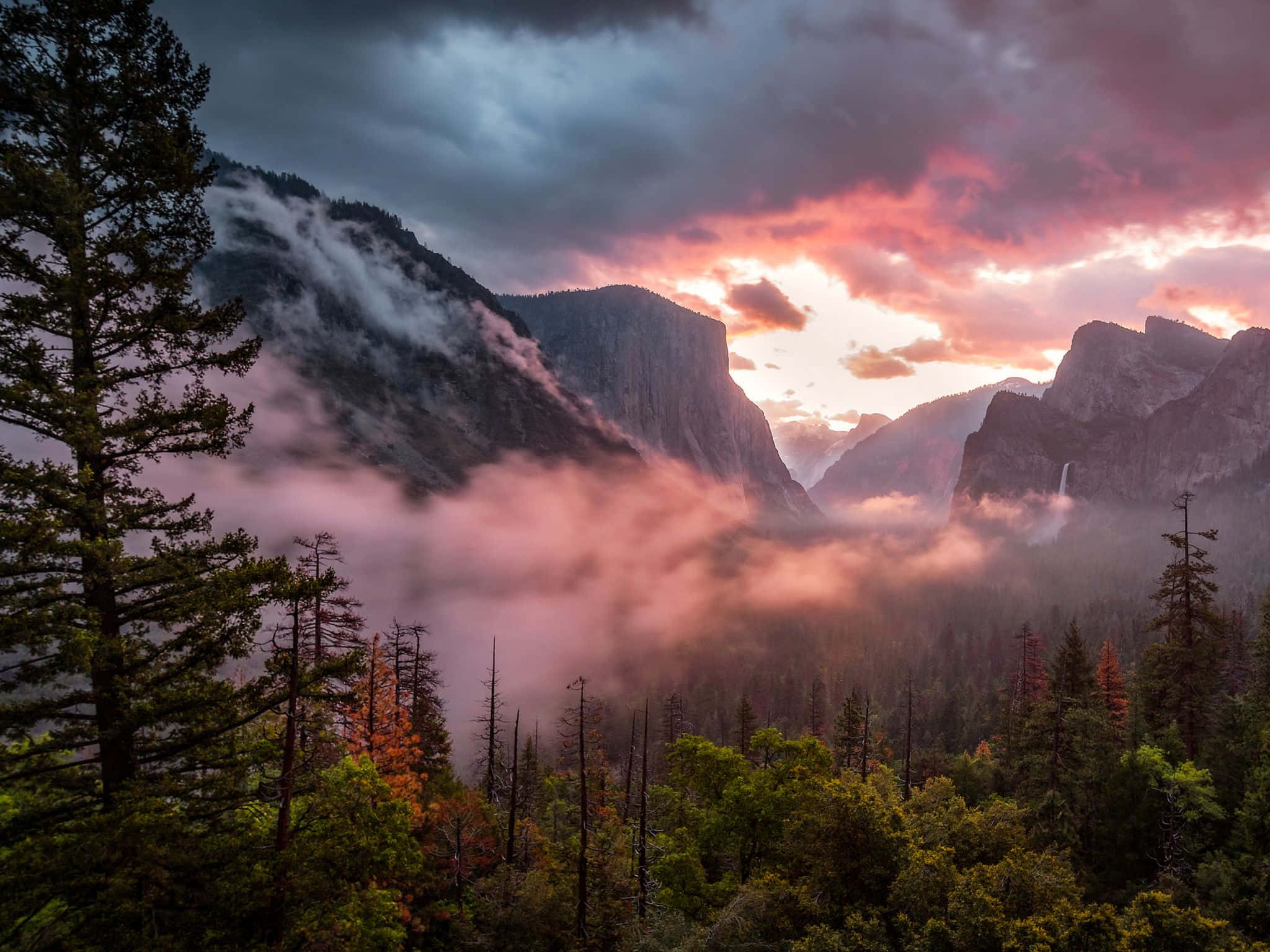 Yosemite National Park 桌布 壁紙 — 黎明時分戲劇性的山谷，粉紅色的雲彩在霧氣繚繞的山峰和常綠森林上空發光。