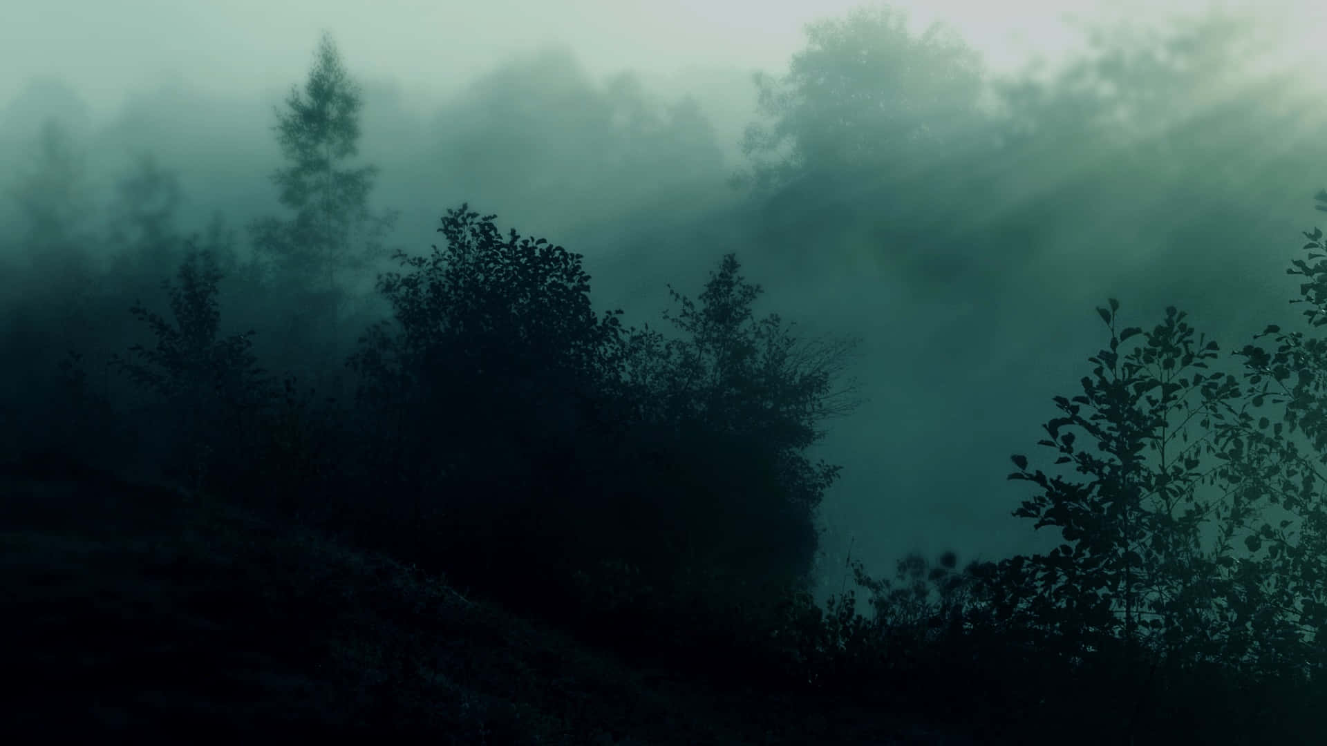 Dark Teal 桌布 壁紙 — 黎明時分的霧林，在柔和漫射光下，剪影般的樹木從濃密的綠色迷霧中浮現。