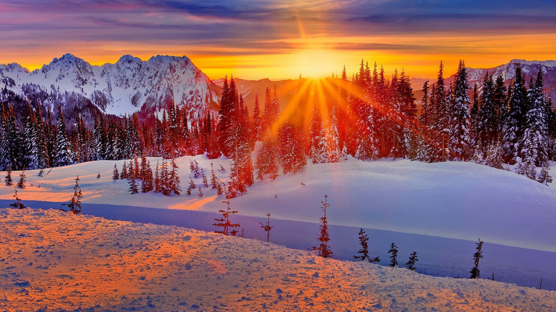 Winter Sun 桌布 壁紙 — 黎明降臨冬日山景，陽光將雪覆蓋的山峰和松林染成火熱的橙色。
