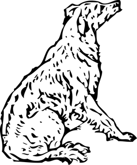 黑屏無畫面 壁紙