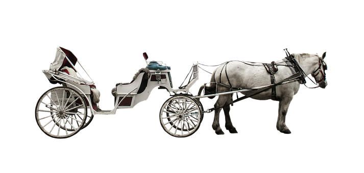 黑底白馬拉車 壁紙