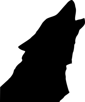 黑暗中的神秘黑狼 壁紙