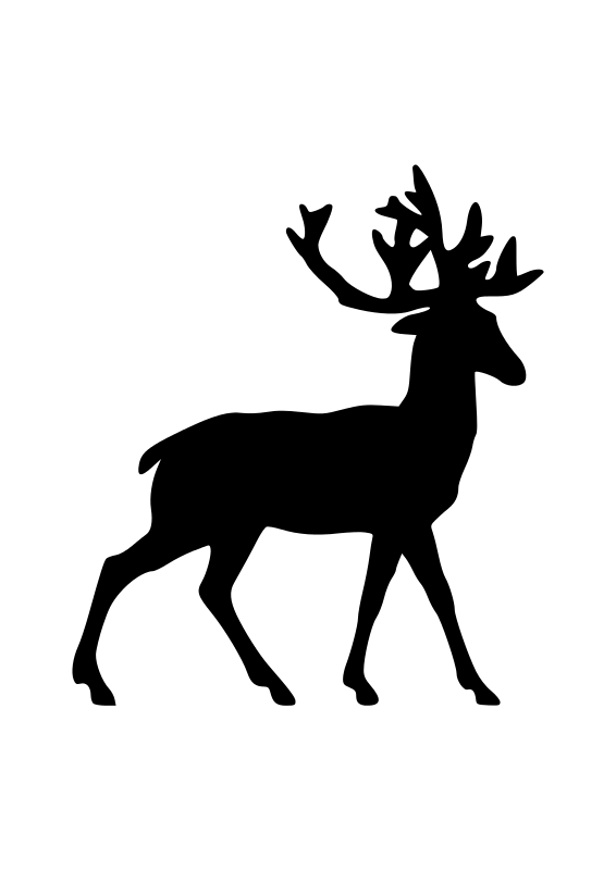 黑暗中鹿影 壁紙