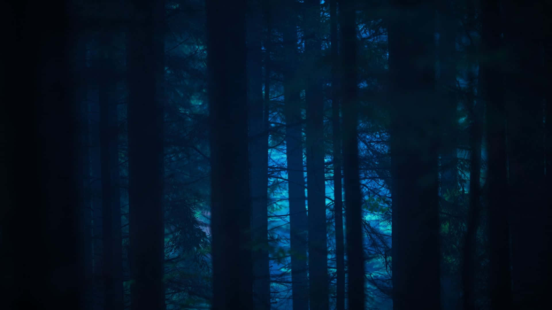黑暗夜晚 1920 x 1080 背景 壁紙