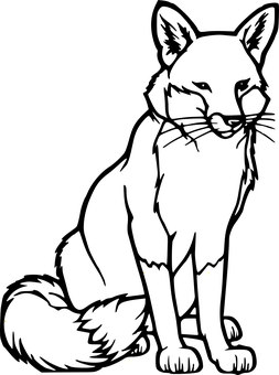 黑暗夜空 壁紙