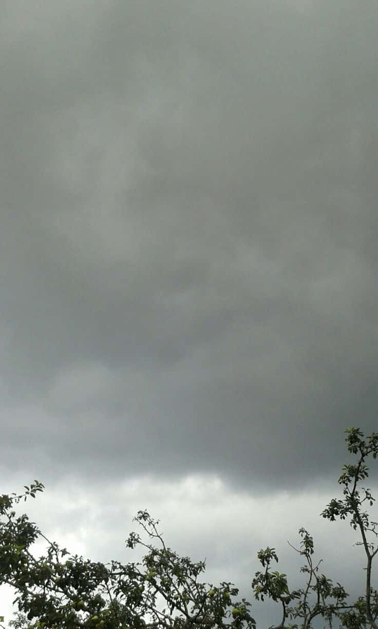 Weather 桌布 壁紙 — 黑暗的暴風雨雲沉重地籠罩在鬱鬱蔥蔥的綠樹頂端，天空陰沉。