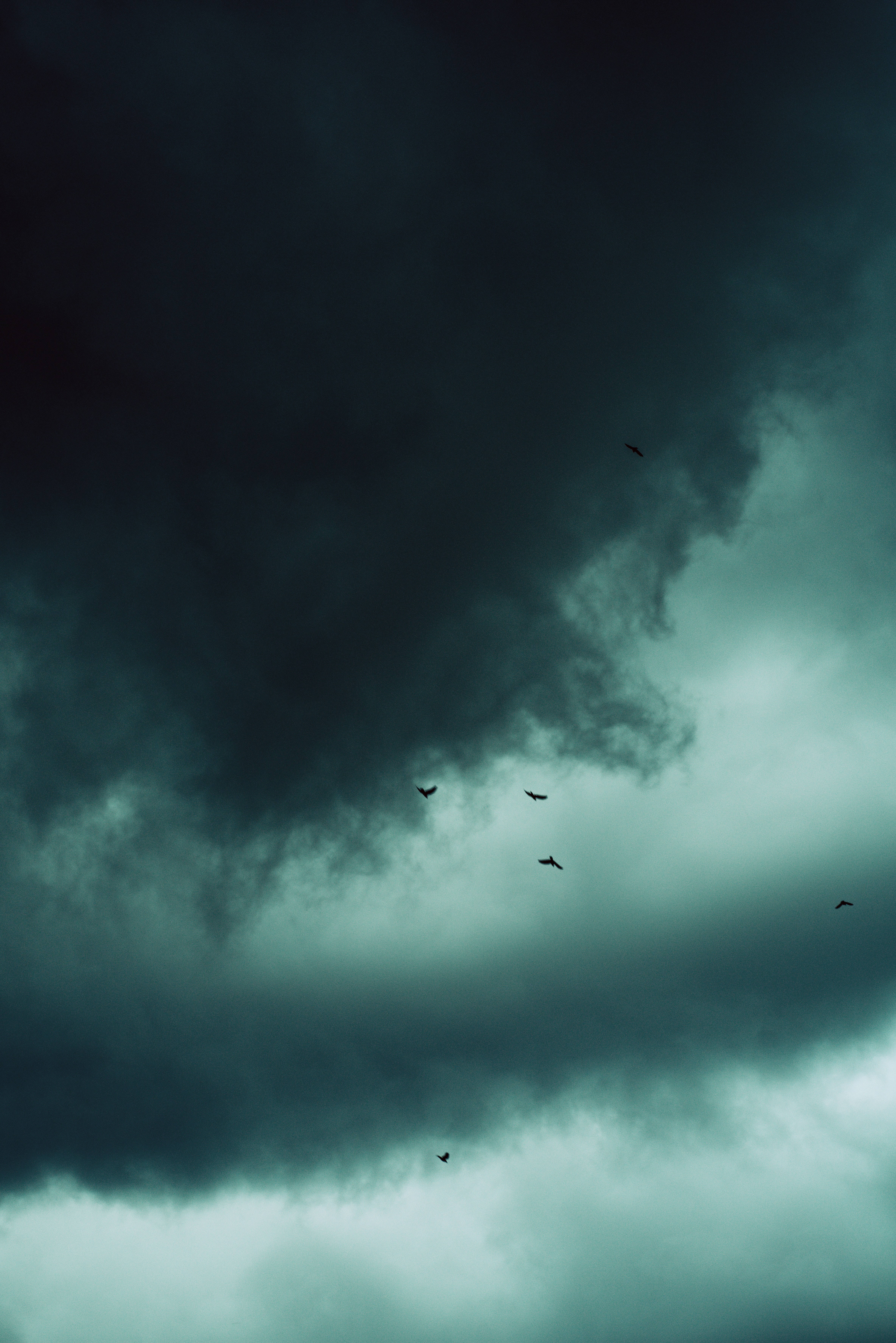 雲朵 桌布 壁紙 — 黑暗的暴風雲籠罩頭頂，剪影鳥兒飛過陰沉的青綠色天空。
