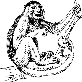 黑畫面無內容 壁紙