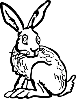 黑白兔子插畫 壁紙