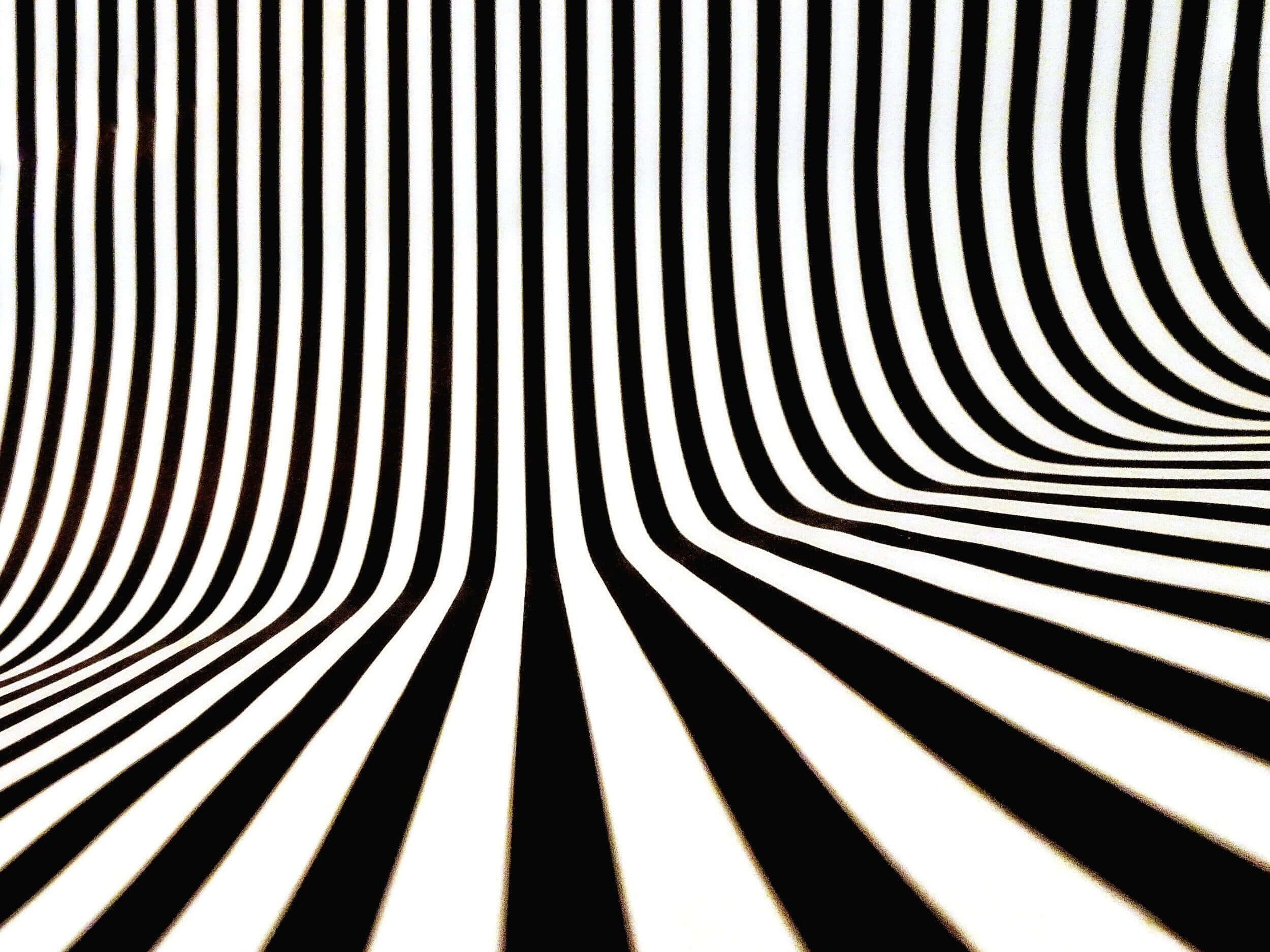 Illusion 桌布 壁紙 — 黑白彎曲條紋營造出強烈的深度和動感錯覺。