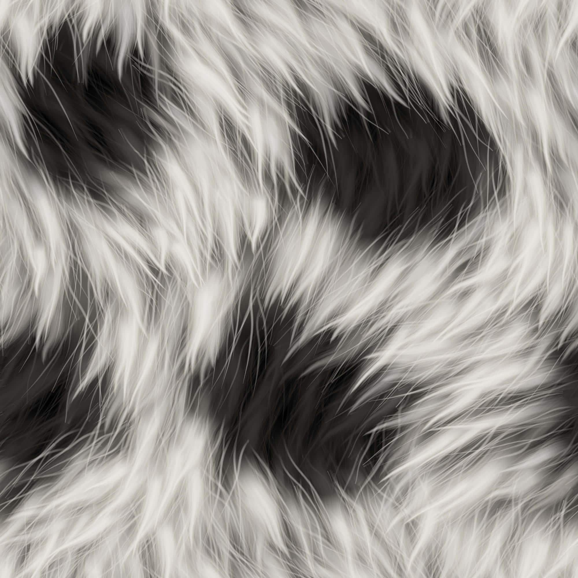 Black And White Texture 桌布 壁紙 — 黑白旋轉毛皮的近距離特寫，帶有柔和的高光和深沉的陰影，營造出奢華的質感。