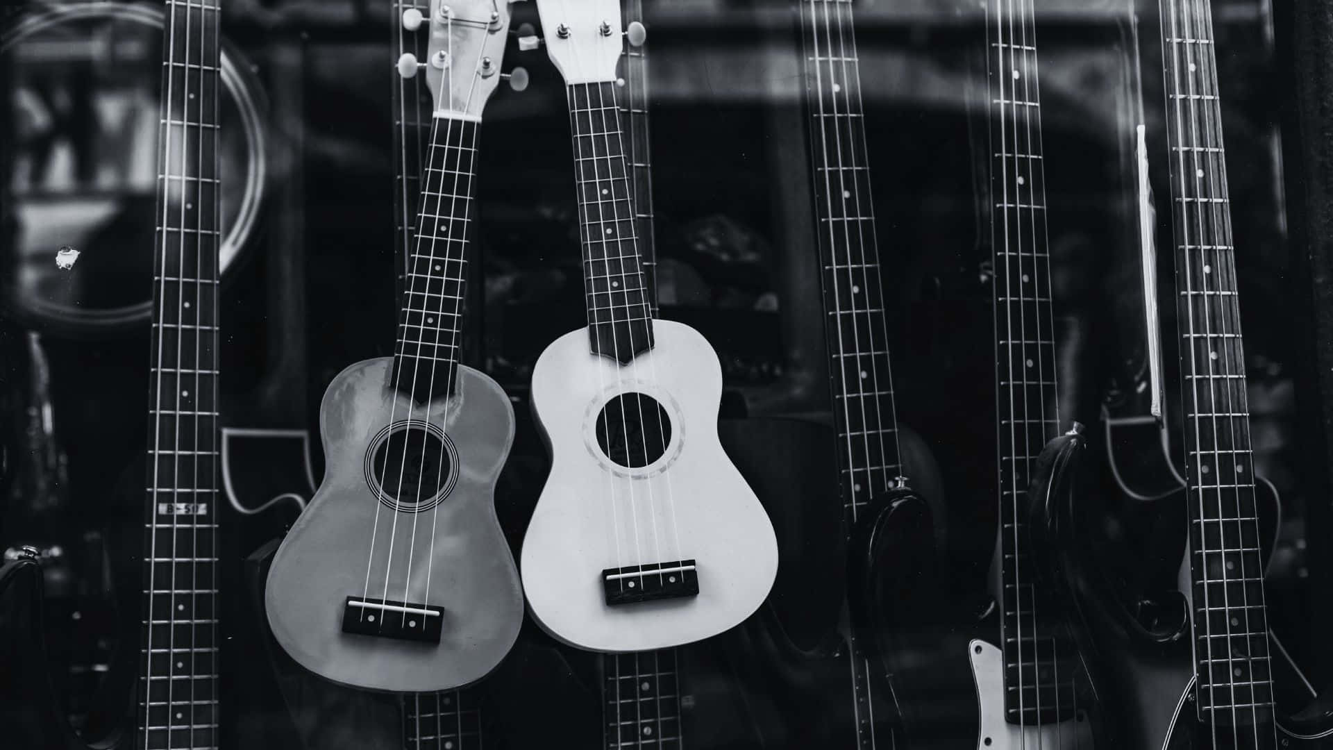 Black And White Guitar 桌布 壁紙 — 黑白照片，展示掛在音樂店櫥窗中的烏克麗麗和吉他，帶有倒影。