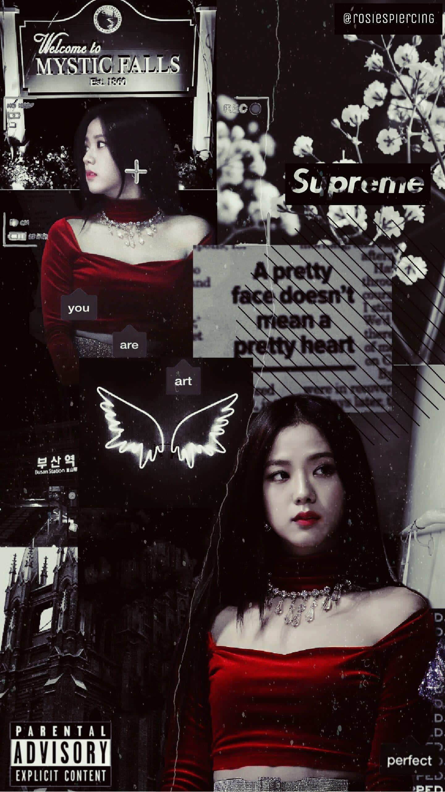 Vampire Aesthetic 桌布 壁紙 — 黑白照片拼貼， featuring 一位身穿紅色天鵝絨的女性，帶有文字疊加和哥德式圖像。