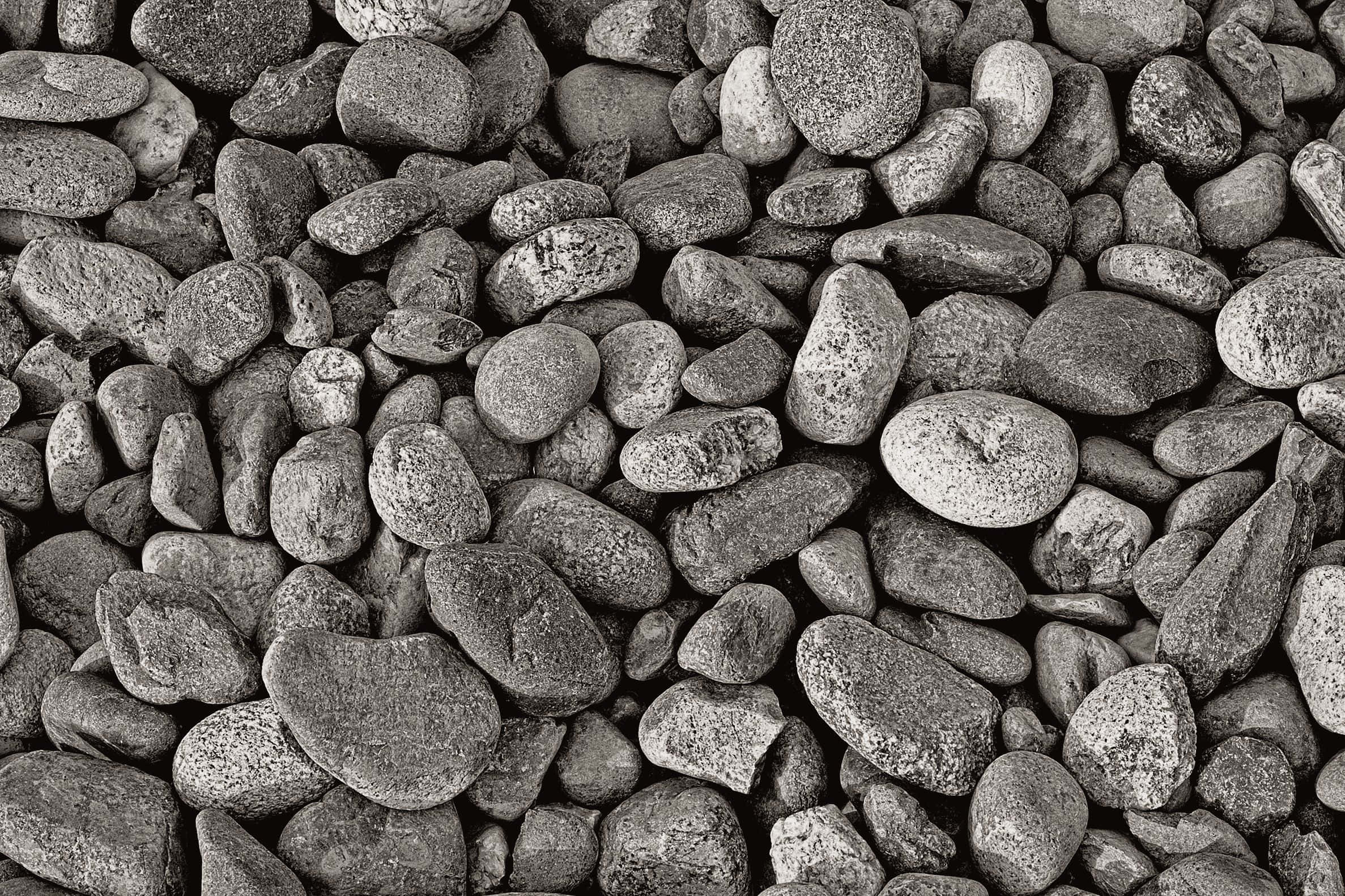Rock 桌布 壁紙 — 黑白特寫，呈現紋理豐富的河石，形狀多樣，灰色調細膩。