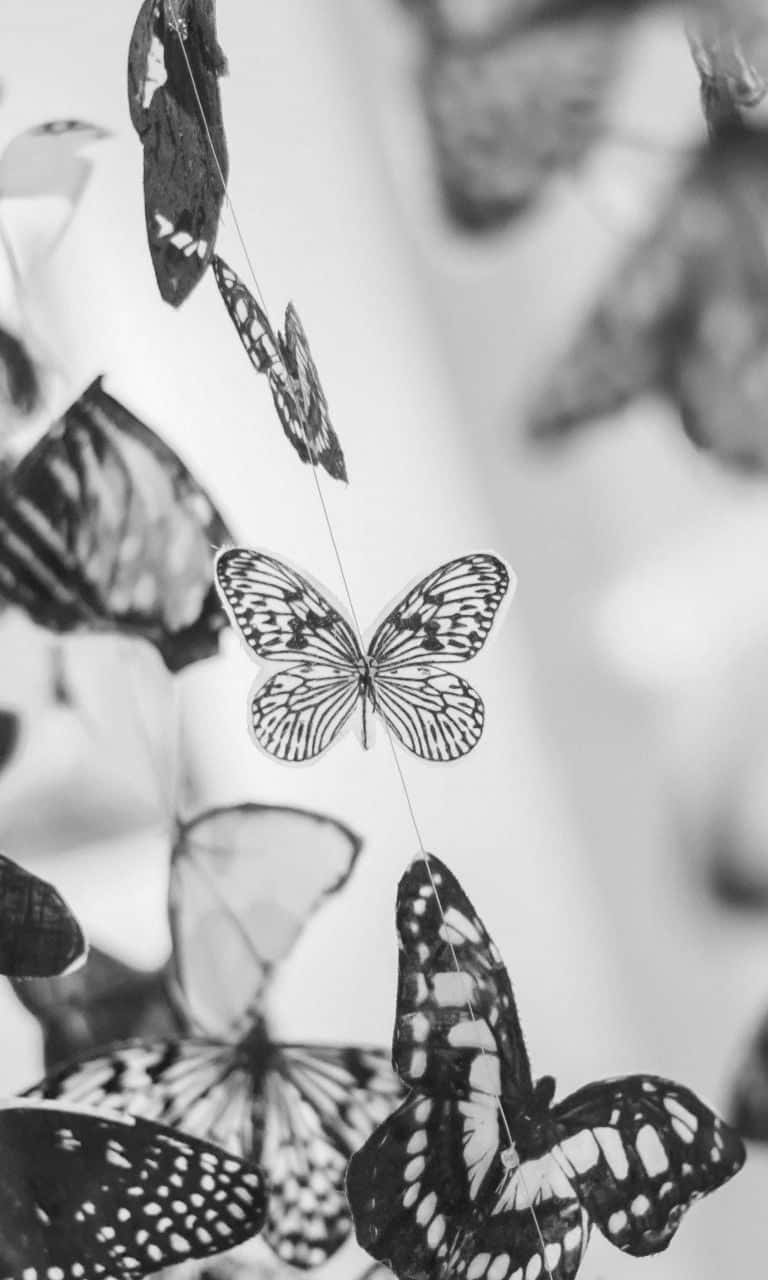 White Butterfly 桌布 壁紙 — 黑白特寫，細緻紙蝴蝶用繩子懸掛在柔和模糊的背景上。