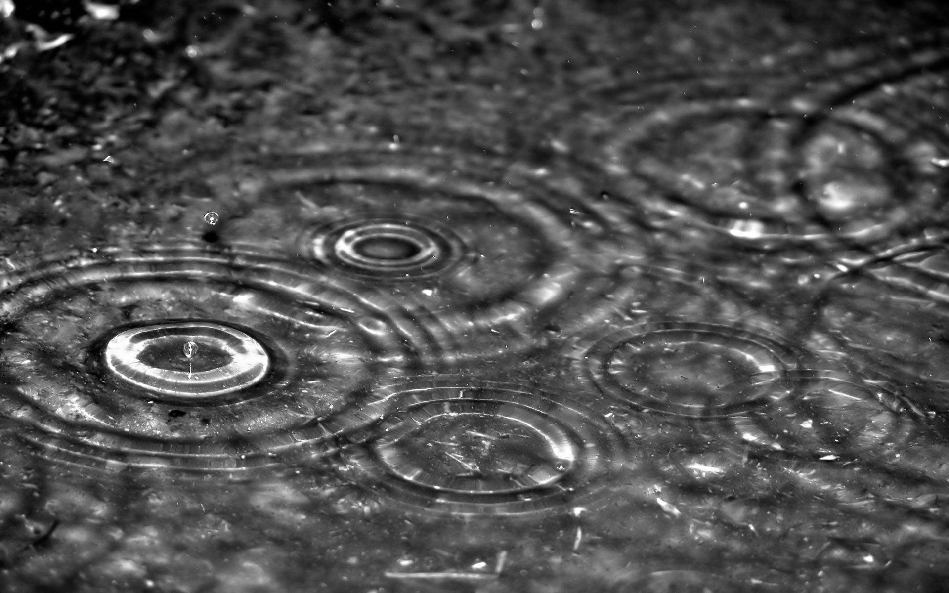 Wet 桌布 壁紙 — 黑白特寫，雨滴在潮濕、有紋理的表面上形成同心漣漪。