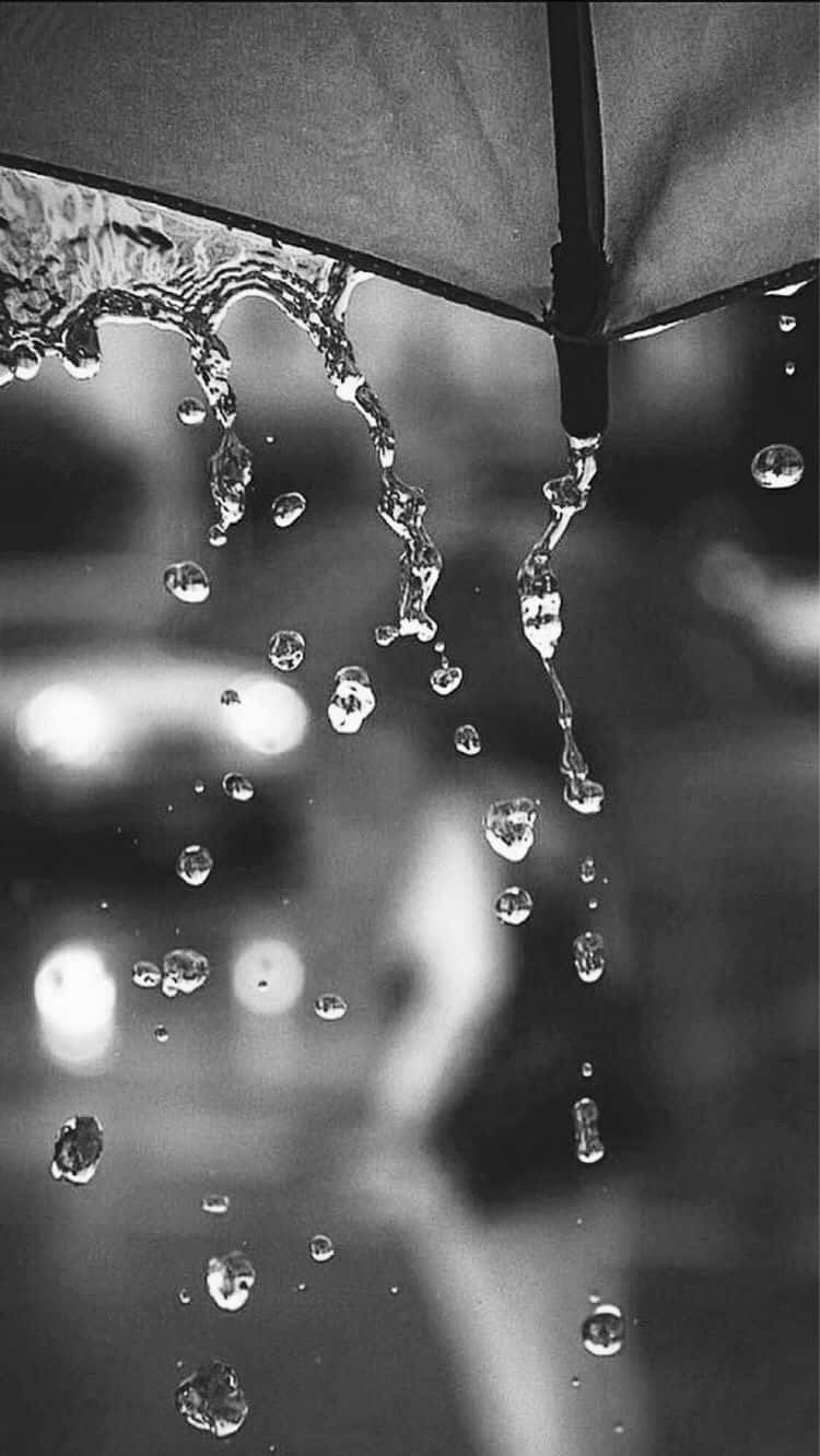 Umbrella 桌布 壁紙 — 黑白特寫，雨滴從雨傘邊緣傾瀉而下，背景是模糊的城市景觀。