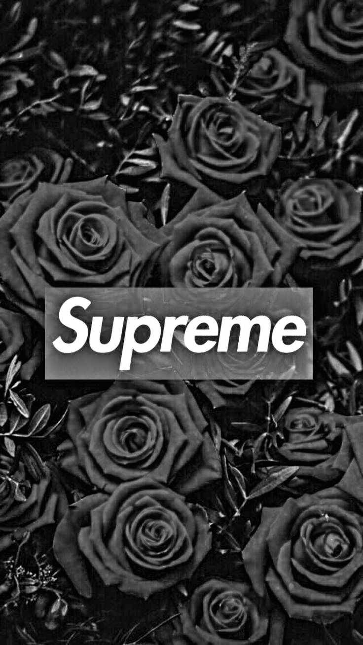 black supreme 桌布 壁紙 — 黑白特寫深色玫瑰，中央疊加Supreme標誌。