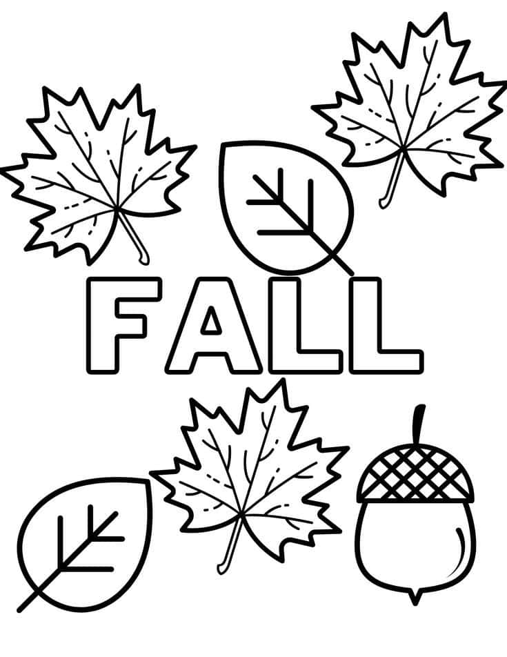 Fall Coloring 桌布 壁紙 — 黑白線條藝術，描繪秋天的樹葉和橡子圍繞著FALL這個詞。