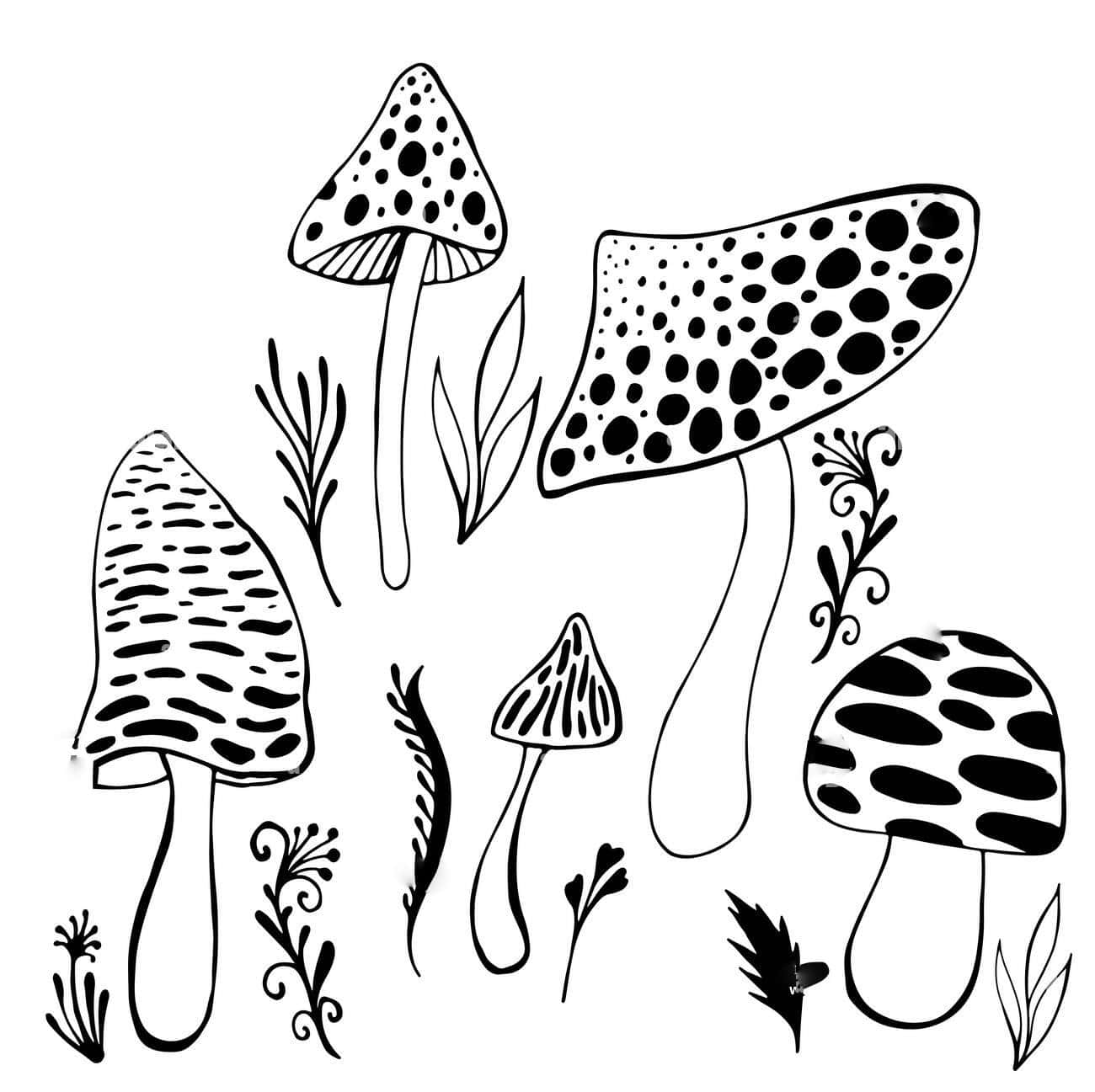 Trippy Mushrooms 桌布 壁紙 — 黑白線條藝術插圖，描繪奇特的斑點蘑菇和風格化的葉子，背景為純色。