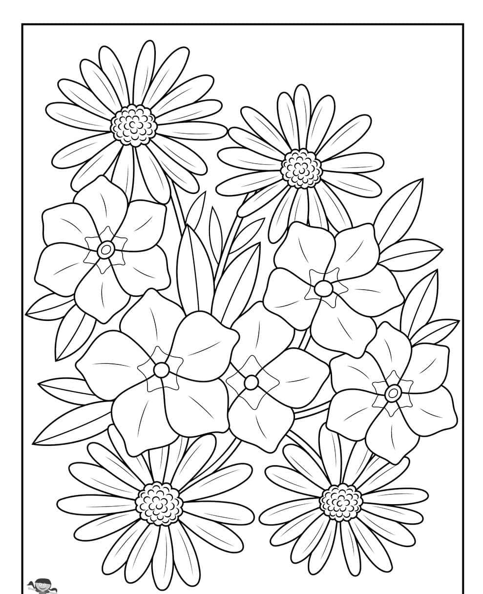 Spring Coloring 桌布 壁紙 — 黑白線條藝術著色頁，描繪一束充滿活力的雛菊和繡球花，花瓣和葉子細節豐富。