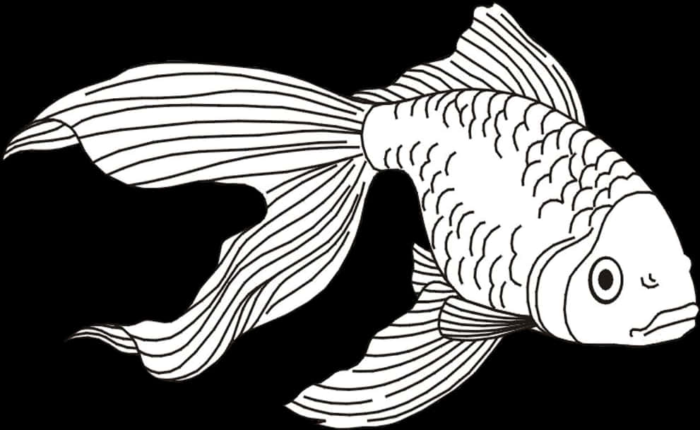 黑白金魚插畫 壁紙